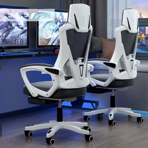 Ghế Công Thái Học Cao Cấp TMS06